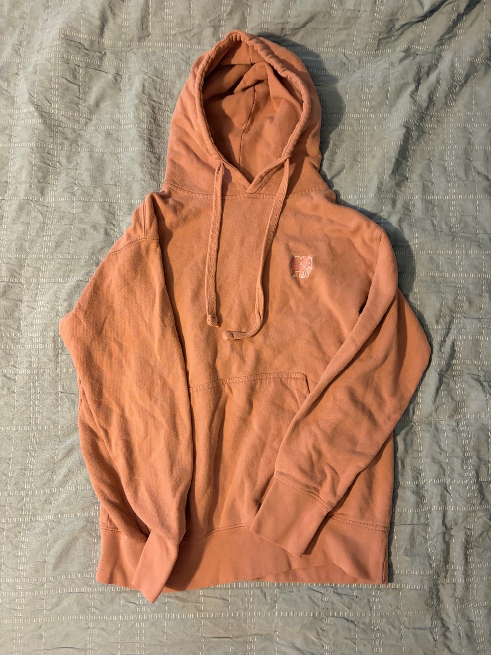 ivory ella Coral Pullover Hoodie with Subtle Elephant Logo